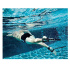 Aqua Sphere    Stationary Swimmer