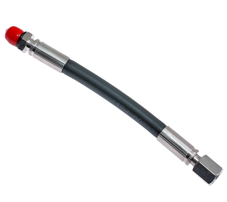 ����� �������� ��������. 15 ��