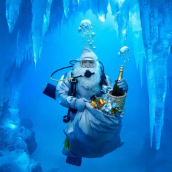 ����� ������ �������� � ���������� ���������