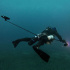 PARALENZ      Vaquita