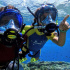 Ocean Reef Полнолицевая маска Neptune G-Diver 