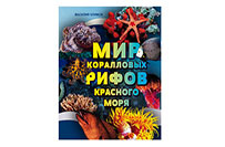 Мир коралловых рифов Красного моря, Василий Климов