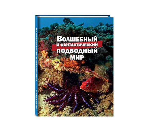Волшебный и фантастический подводный мир, Василий Климов
